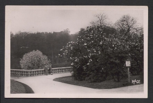 Saint-Omer (P.-de-C.) : Les Jardins