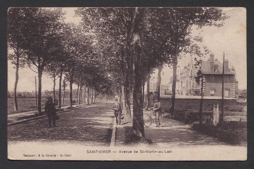 Saint-Omer : Avenue de Saint-Martin-au-Laert