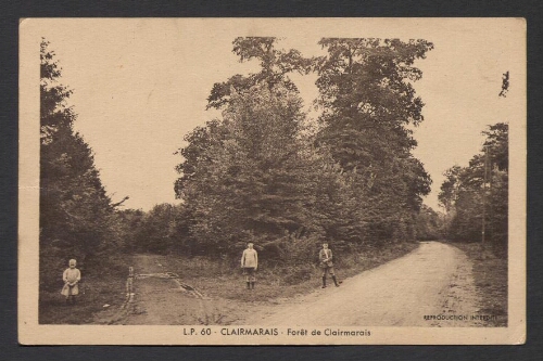 Clairmarais : Forêt de Clairmarais